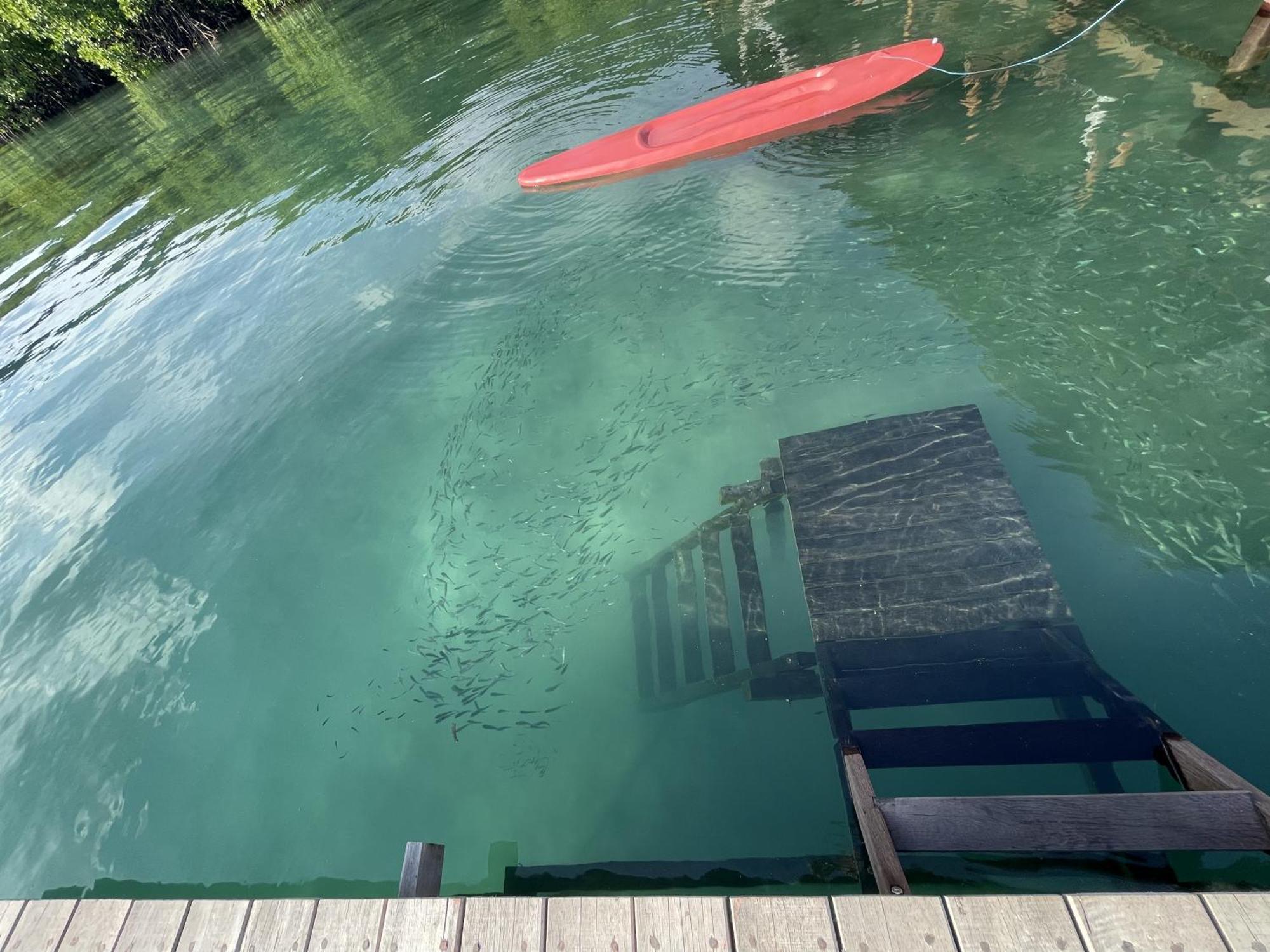 Floating Paradise Каримунджава Екстериор снимка